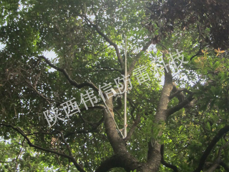 古樹(shù)防雷專用輕質(zhì)避雷針產(chǎn)品展示圖二
