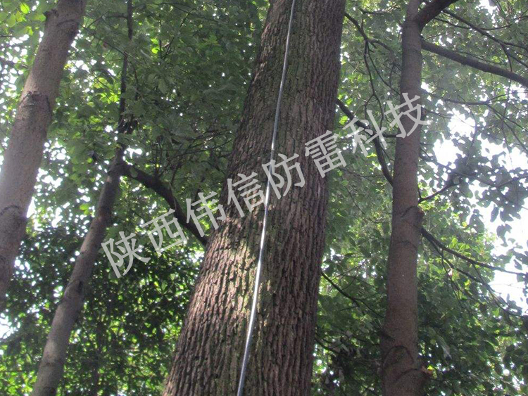 古樹(shù)防雷專用輕質(zhì)避雷針產(chǎn)品展示圖三